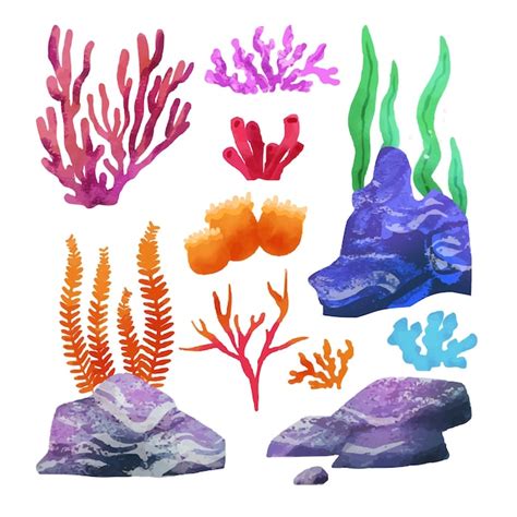 Premium Vector Corals And Seaweed Underwater Plants