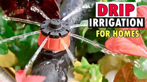 Tips And Tricks Drip Irrigation System Installation For Home Garden