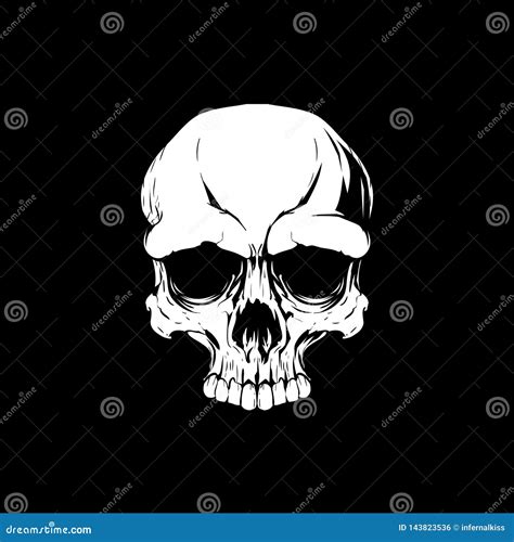 Human Skull Head Vector Design Stock Vector Illustration Of Skeloton