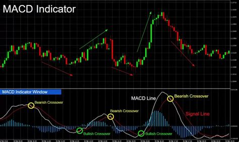 How To Use A Macd Indicator In Olymp Trade Tutorial For Beginners