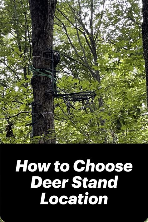 How To Choose Deer Stand Location In 2023 Deer Stand Tree Stand