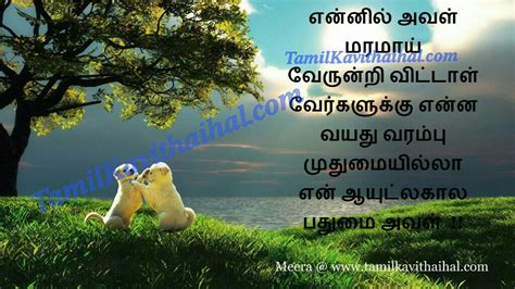 We did not find results for: Alagu kavithai cute love forever images tamil kadhal boy feel happy proposal sana facebook download