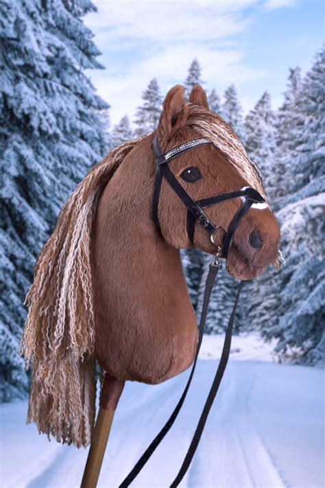 Finnish Hobbyhorses Hobby Horse Hobby Horses Horses