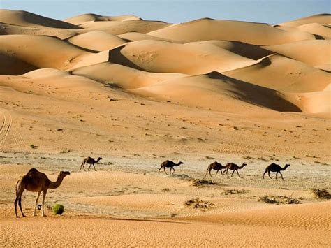 Desierto Qu Es Tipos Y Caracter Sticas De Los Desiertos Ecolog A Hoy