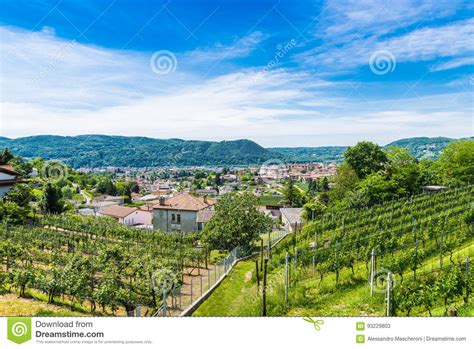 Maybe you would like to learn more about one of these? Chiasso, Ticino-kanton, Zwitserland Mening Van De Stad Van ...