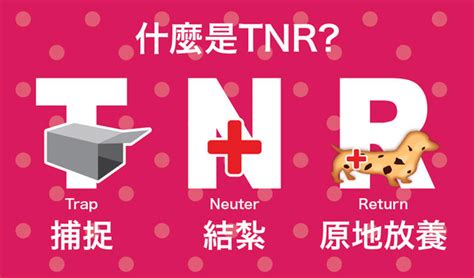 Looking for online definition of tnr or what tnr stands for? TNR為什麼很重要? | 關懷生命協會