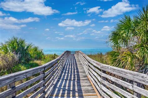 19 Best Day Trips From Tampa Worth The Effort Florida Trippers