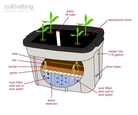 Build Your Own Earthbox Cultivating Conscience Homemade Hydroponics