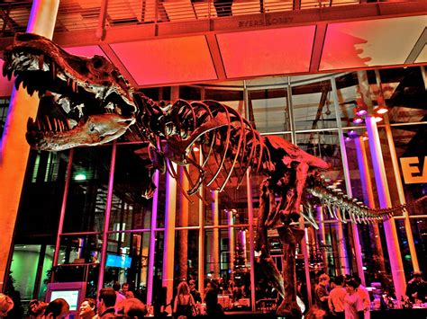 Nightlife Tips California Academy Of Sciences