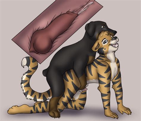 Rule 34 Anal Anal Sex Anthro Anthro On Feral Barbs Canine Canine