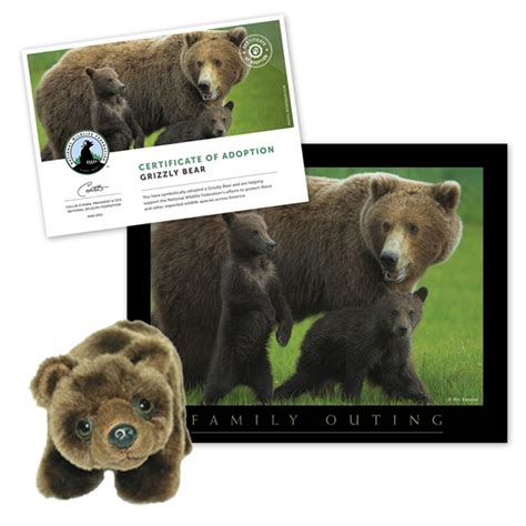 Adopt A Grizzly Bear