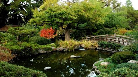 How To Arrange A Japanese Garden Golden Rules Home