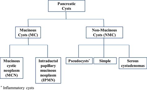 Classification Of Pancreatic Cysts Download Scientific Diagram