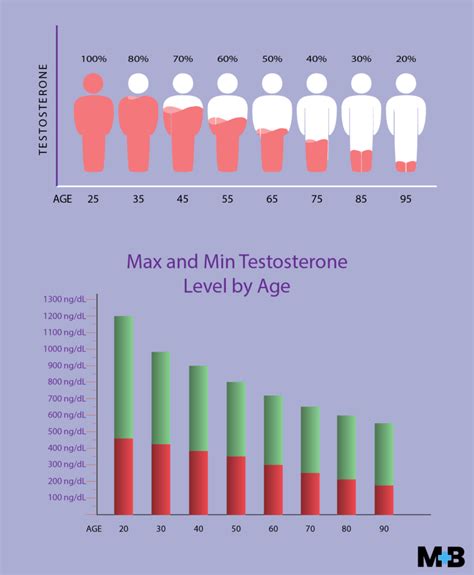 Testosterone Level Statistics Graphs And Figures