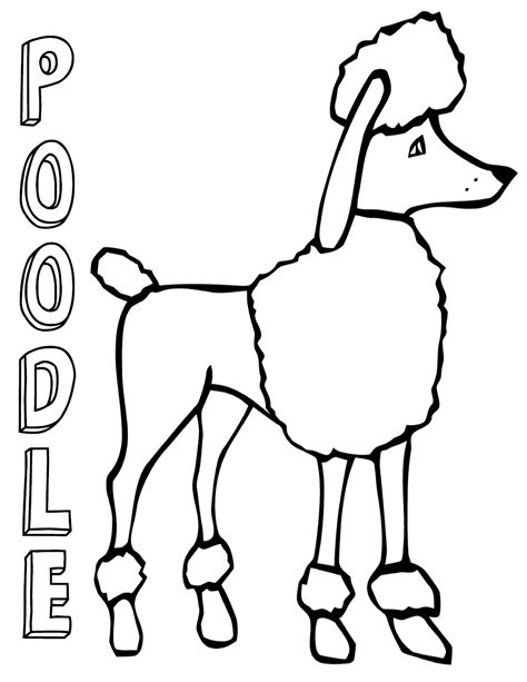 Dog portrait to print and color. Poodle coloring pages | Coloring pages to download and print
