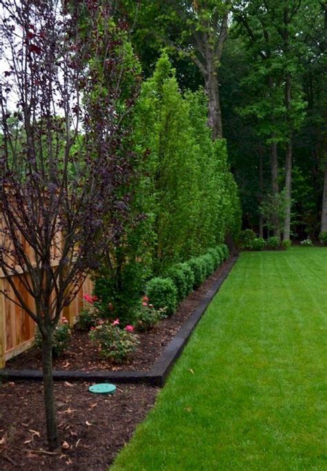 Best Trees To Plant 10 Options For The Backyard Bob Vila Backyard Designs
