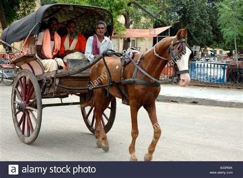 Traditional Means Of Transportation Jaipur Rajasthan Stock Photo