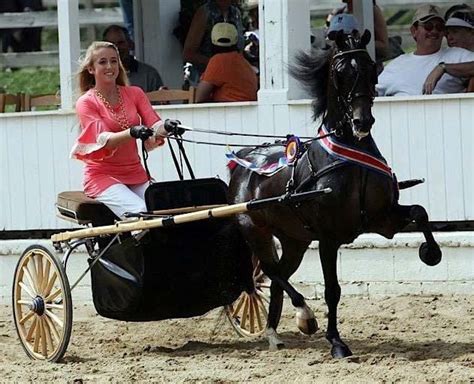 A Timeless Tradition Blowing Rock Charity Horse Show Returns For 96th