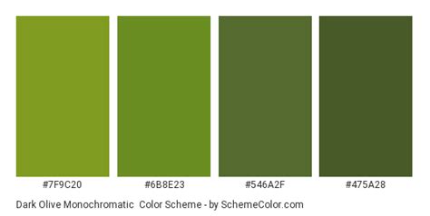 Dark Olive Monochromatic Color Scheme Green