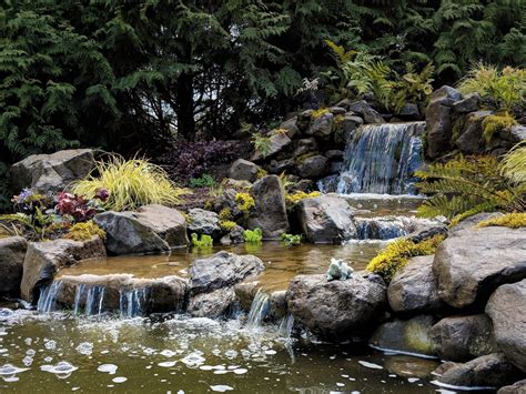 Pond Waterfall Building Affordable Ponds