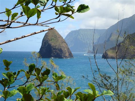 Molokai Mule Ride Kalaupapa All You Need To Know Before You Go