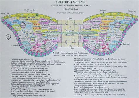 Butterfly Garden Layout Design Elices Gardening Time