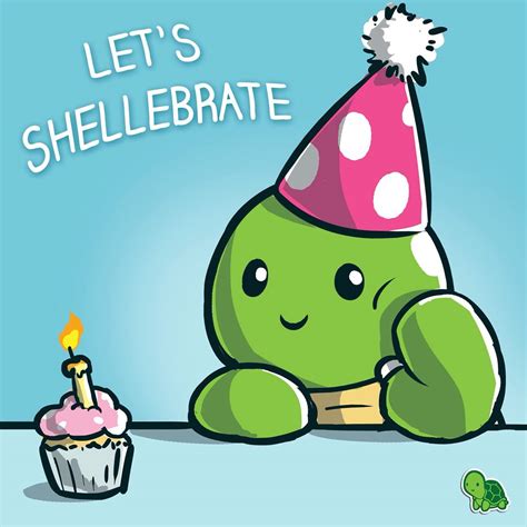 Bday Shellebrate Turtle Happy Birthday Turtle Birthday Doodle
