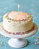 BIRTHDAY CAKE CHALLENGE!! - The Best Stand Mixers For Baking