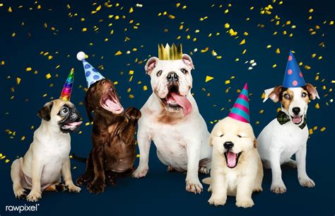 Download Premium Image Of Group Of Puppies Celebrating A New Year