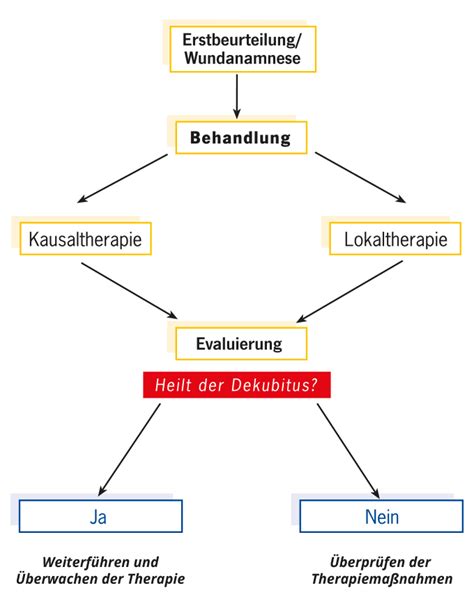 Aks memoplot weichlagerungsmatratze zur dekubitusprophylaxe. Dekubitustherapie - Erläuterung verschiedener Therapiearten
