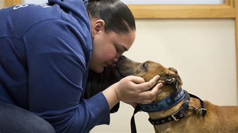 Moment Missing Dog Ty Is Reunited With His Besotted Owner Blue Cross