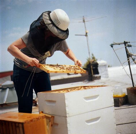 Another interesting fact is that each beekeeper in germany keeps an average of only 6.7 bee colonies. Top 10 Reasons to Become an Urban Beekeeper | HuffPost
