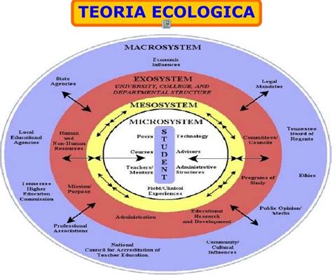 Module 10 bronfenbrenner ecological theory prepared by: Pin by Masoume Kiani on Systems theory | Social work ...