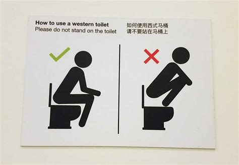 Amusing And Instructive Toilet Signs Will Bowl You Over Goats And