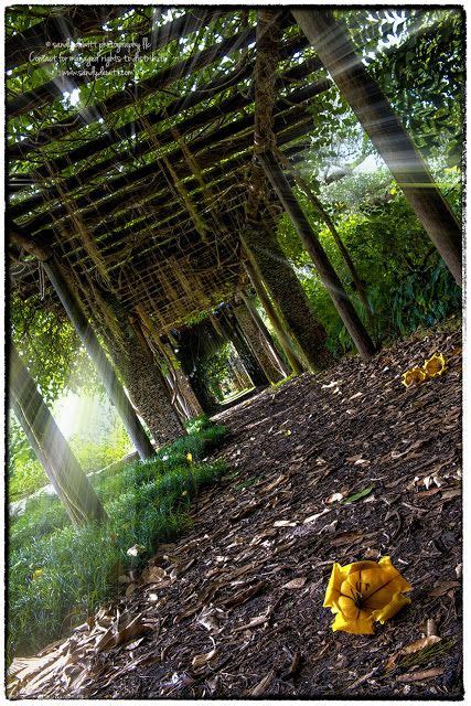 Did you scroll all this way to get facts about fairchild garden? Today's Photo Fairchild Tropical Gardens Miami Florida www ...