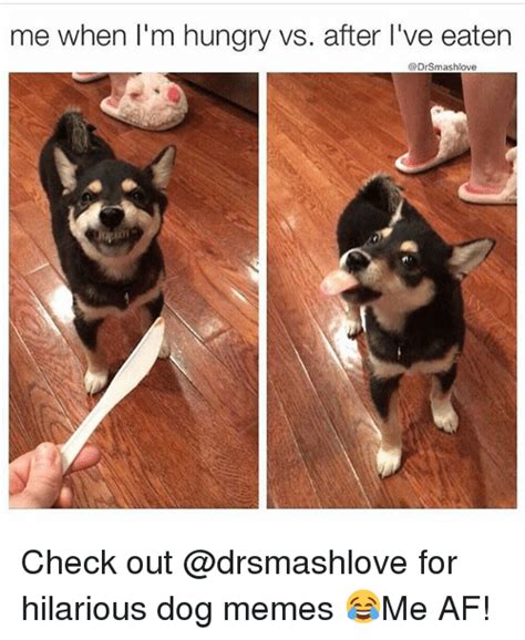 25 Best Memes About Hilarious And Hungry Hilarious