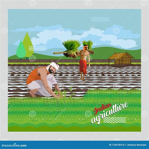 Indian Farmer Plows And Sows Field Cartoon Vector Illustrations Set