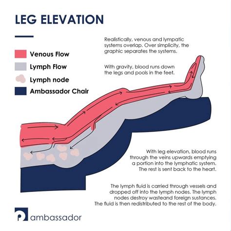 How Does Leg Elevation Reduce Lymphedema Ambassador Products