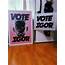 Finally Framed My VOTE IGOR Poster Yard Sign For Scale  Tylerthecreator