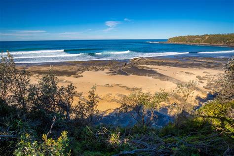 dolphin point beach nsw holidays and accommodation things to do attractions and events