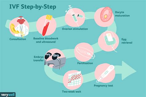 Understanding The Ivf Process Step By Step