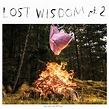 Album Revew: Mount Eerie - Lost Wisdom Pt. 2