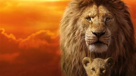 Lion King K Wallpapers Top Free Lion King K Backgrounds WallpaperAccess