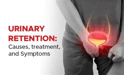 How Can Pelvic Floor Physical Therapy Help With Post Void Residual PVR In Men Pelvic Health