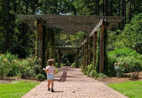 Cape Fear Botanical Garden In Fayetteville Nc 7 Things That We Love