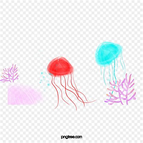 Underwater World Jellyfish Seaweed Plants Jellyfish Underwater World