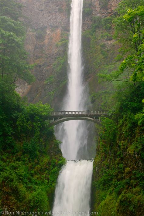 Multnomah Falls Columbia River Gorge National Scenic Area Oregon