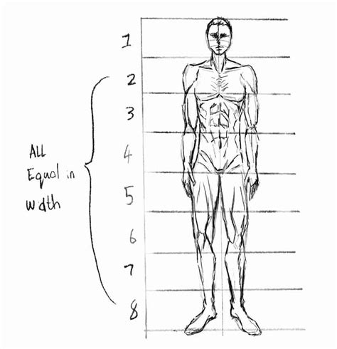Discover 132 Body Sketch Male Latest In Eteachers