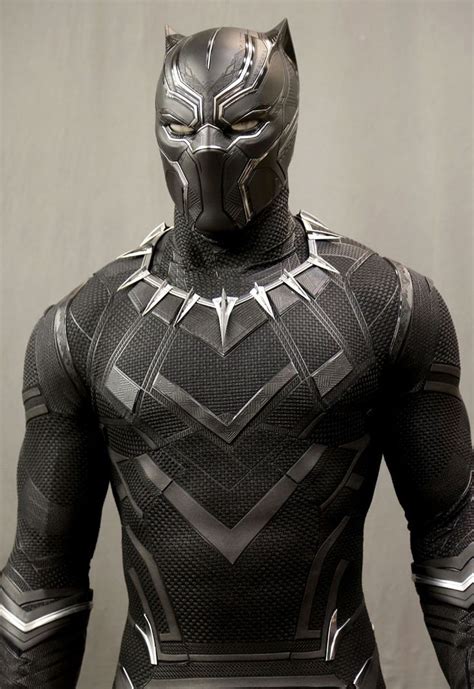 Pin By So Young Son On Alegria Black Panther Costume Black Panther