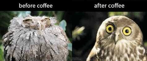 Adhd in adults | how it's different. Keep Calm and Drink More Coffee - Natural Alternative ADHD ...